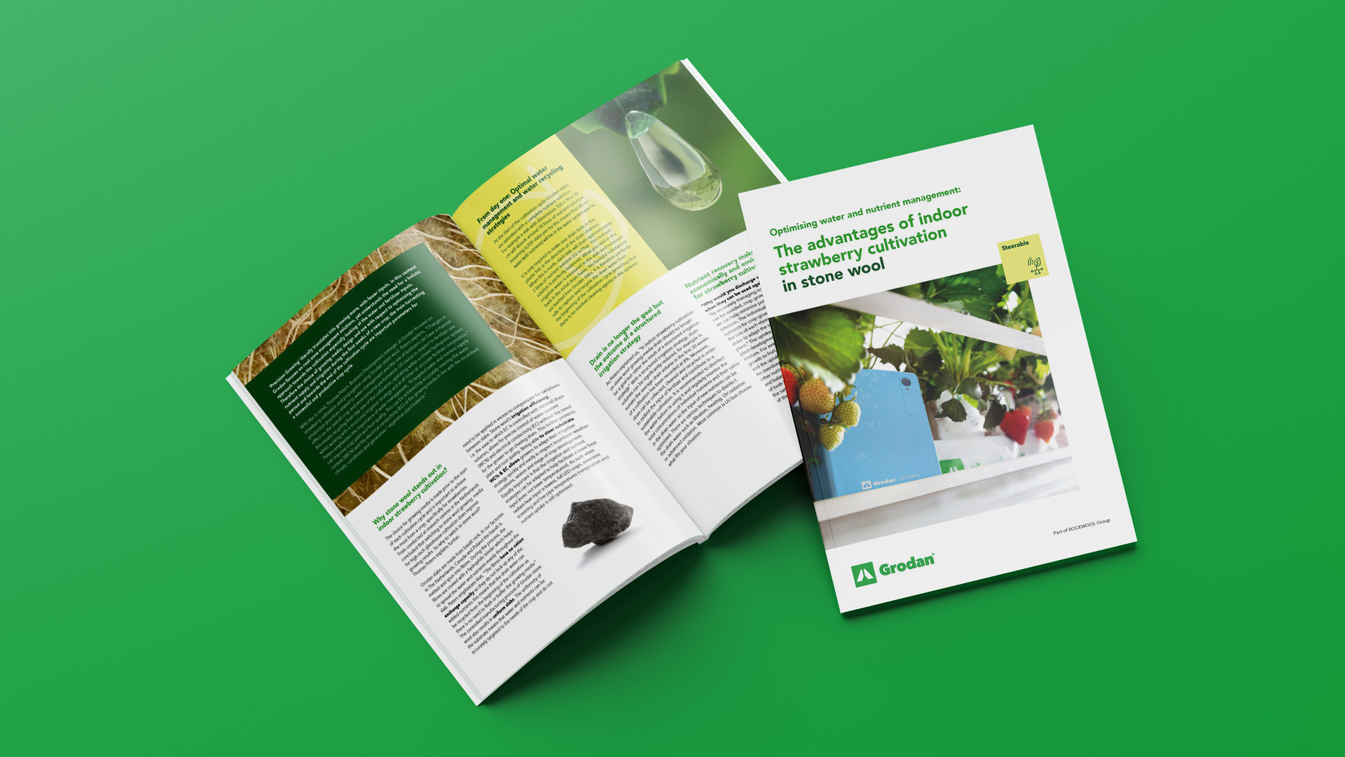 Whitepaper: Optimising water and nutrient management in strawberry cultivation