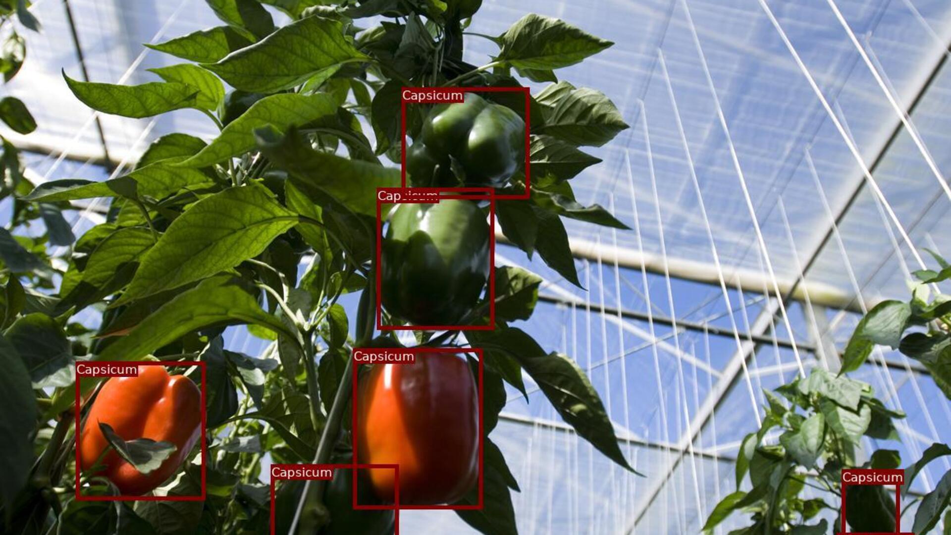 20200423 GR PHO 5182