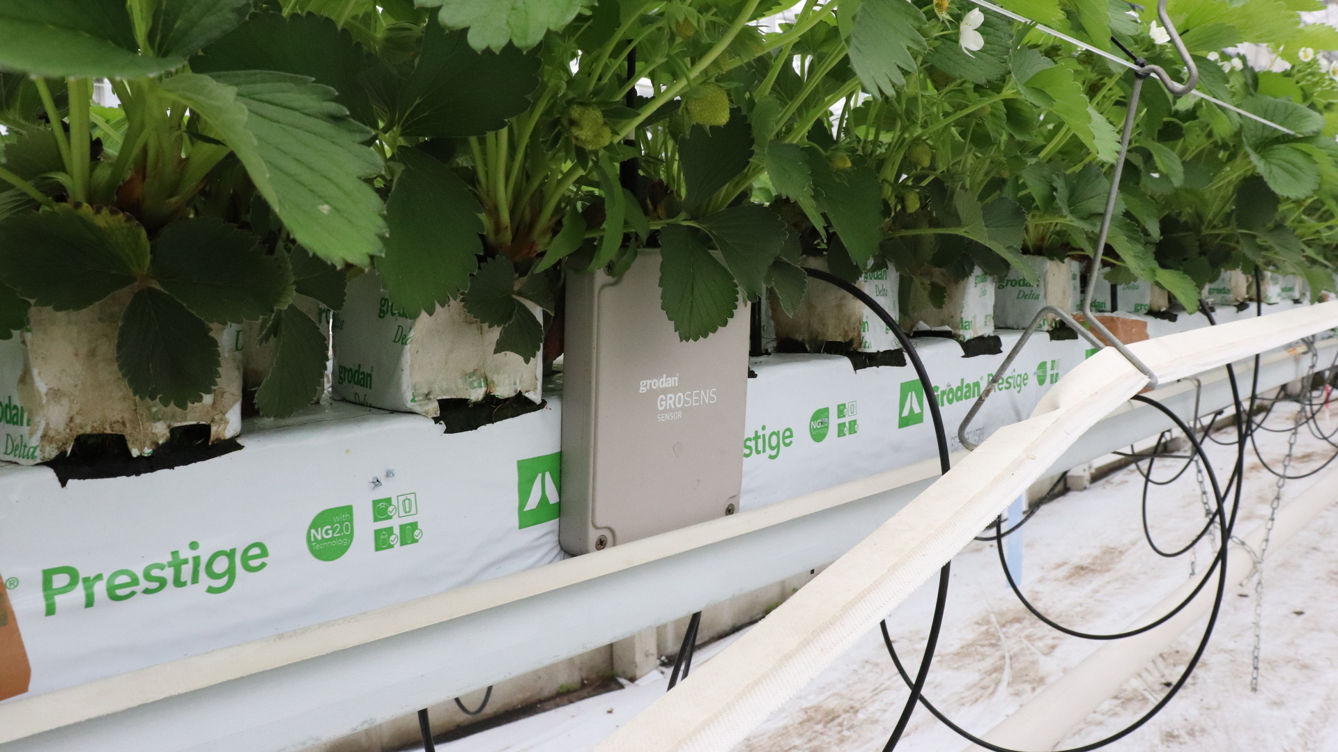 20201007 GR PHO 5309