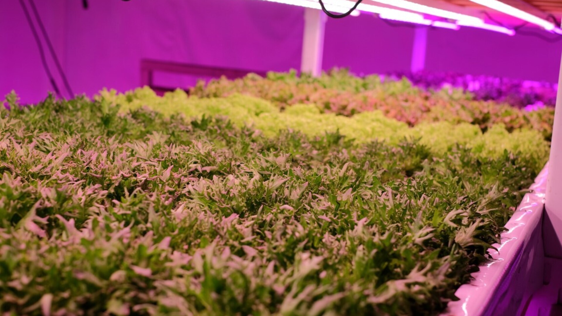 20201016 GR PHO 5314