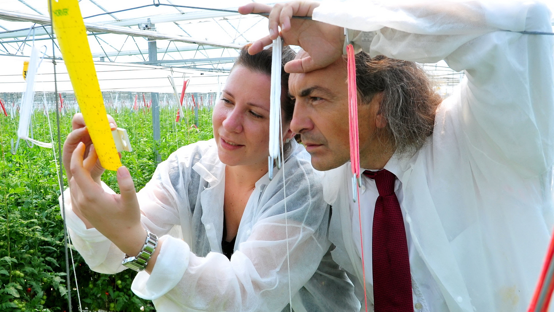 20201215 GR PHO 5334