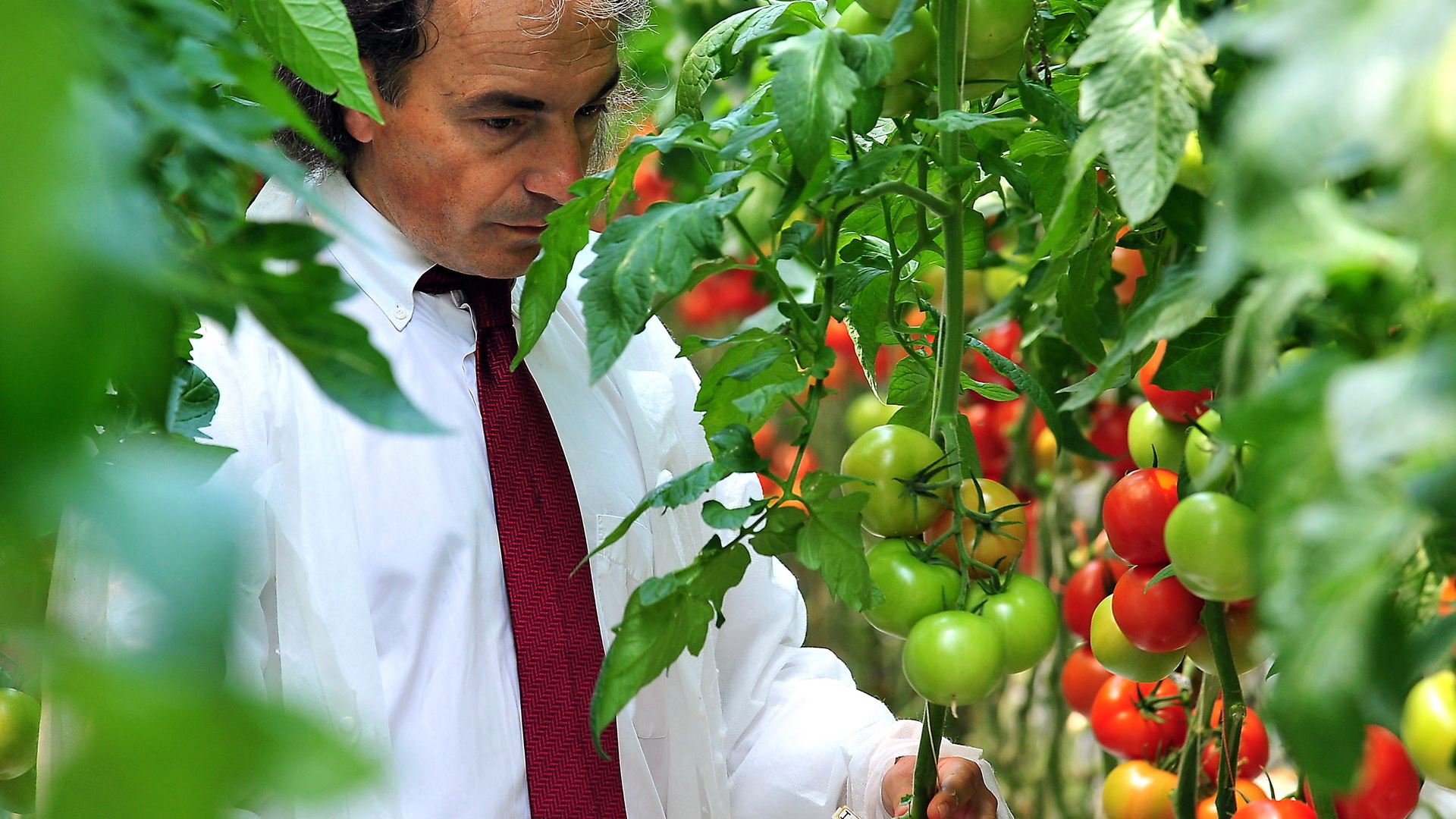 20201215 GR PHO 5336