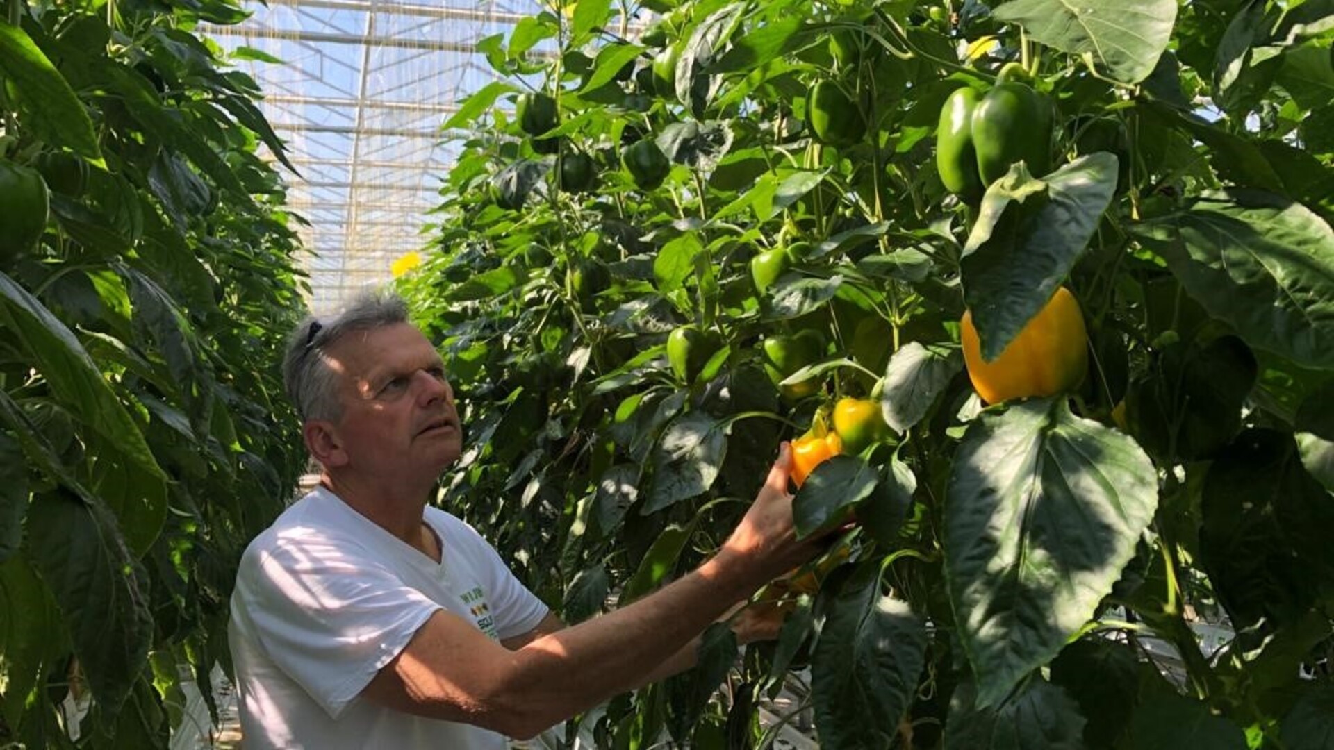 20210416 GR PHO 5430