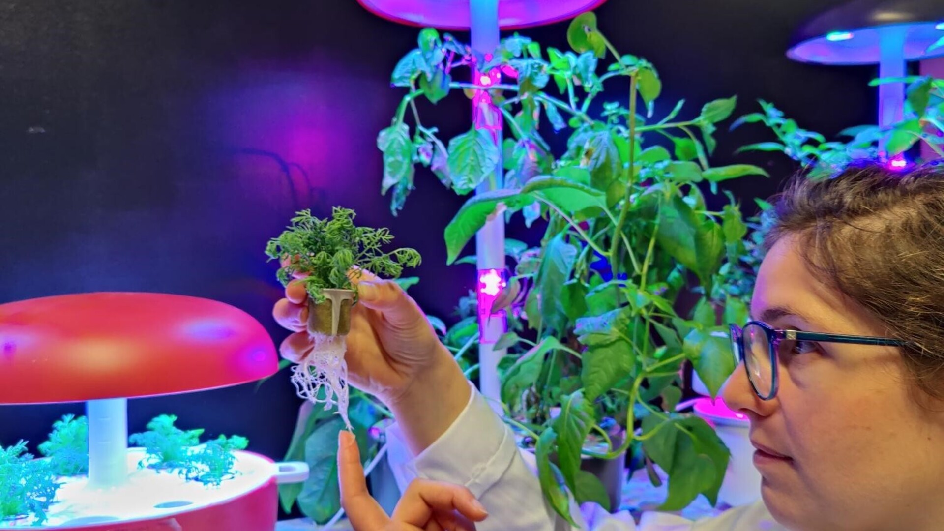 20210701 RW-GR PHO 5481