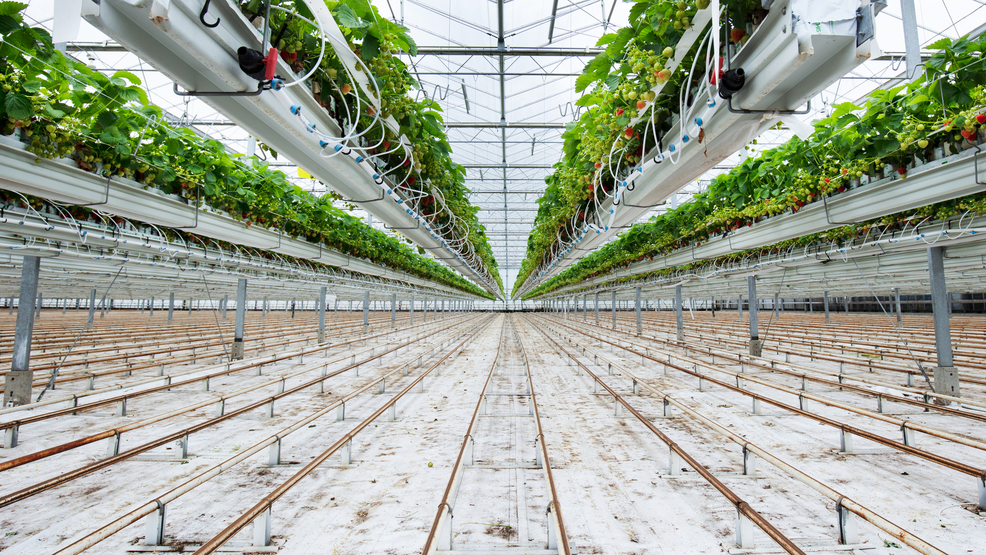 20220628 RW-GR PHO 1016