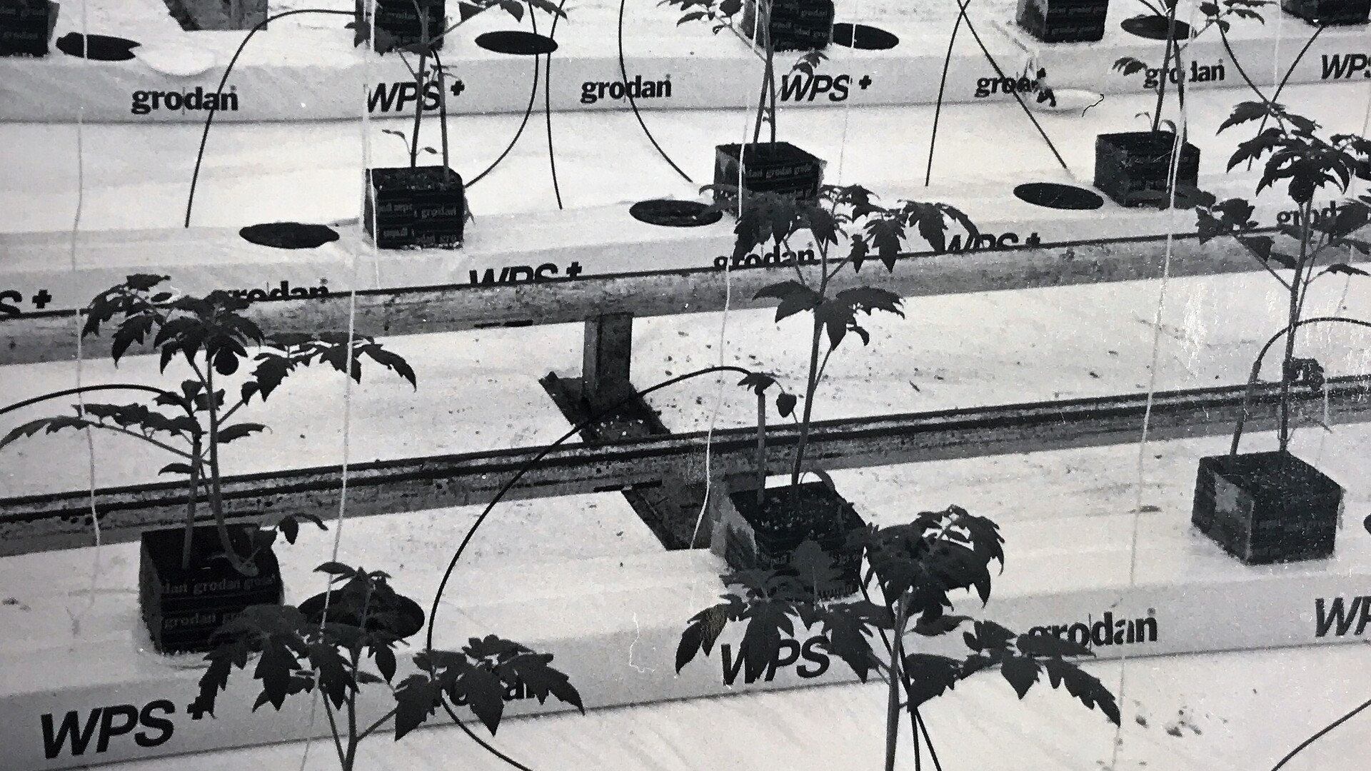 29082019 GR PHO 5056