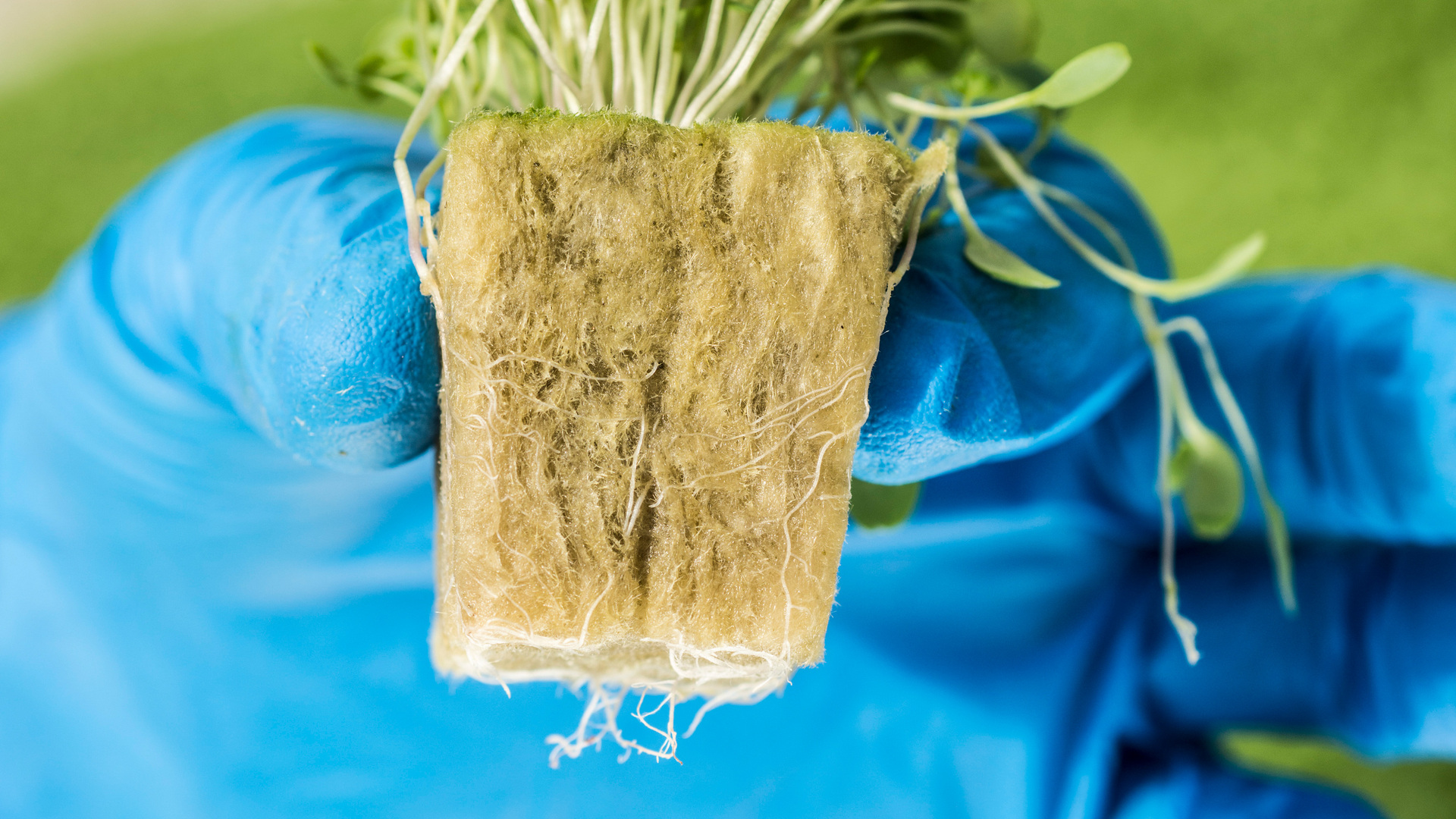 20220721 RW-GR PHO 5757