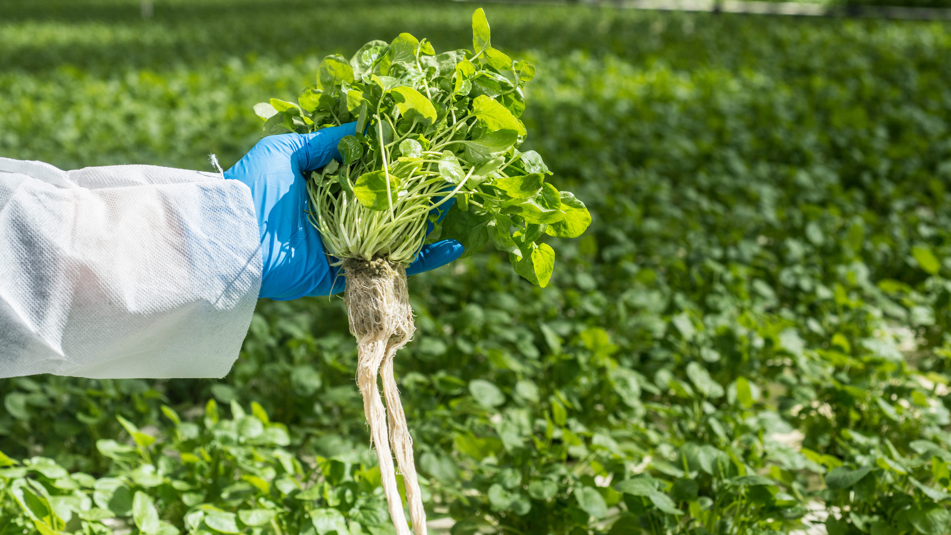 20220721 RW-GR PHO 5748