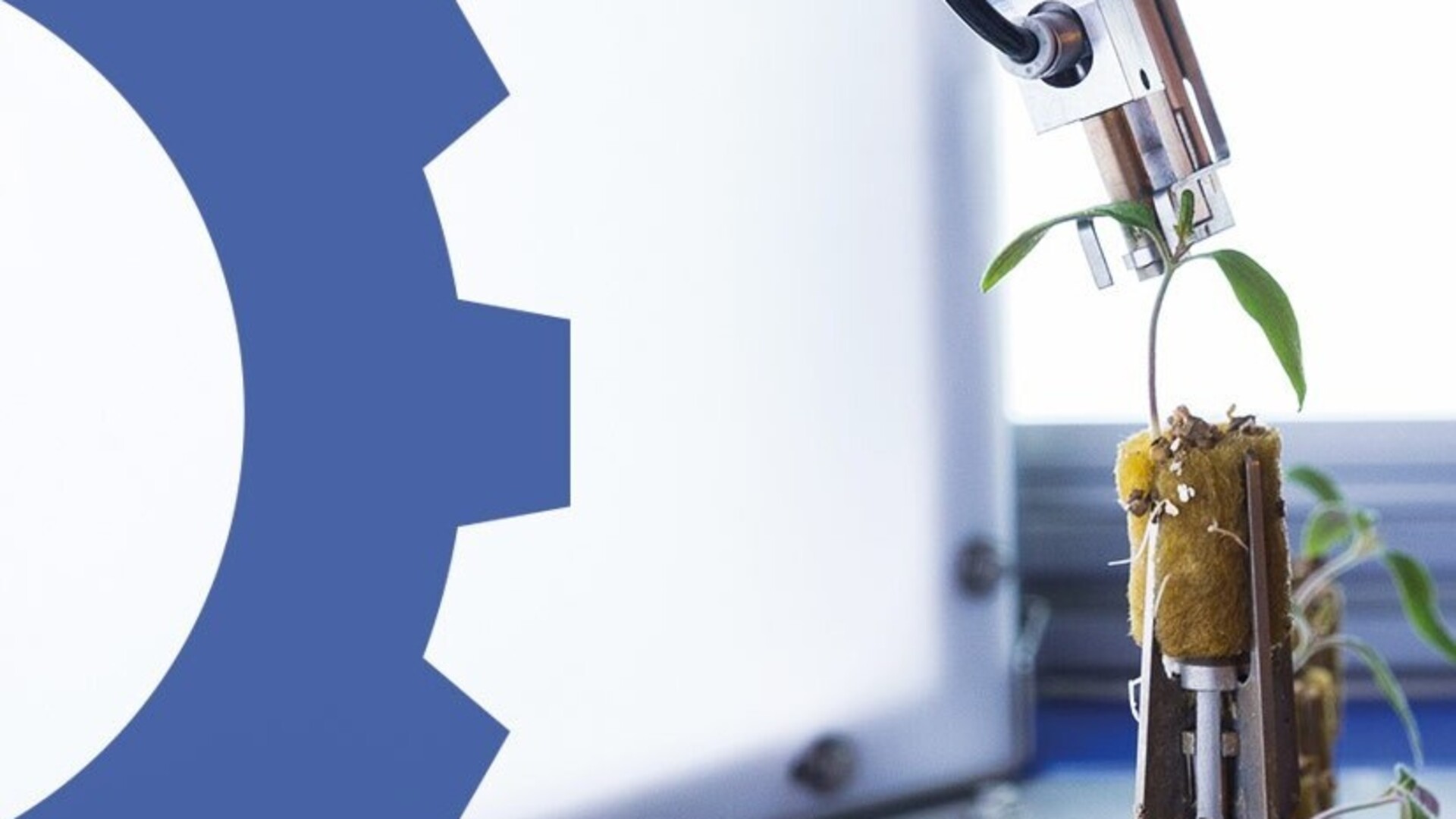 Picture header 3 for IPS